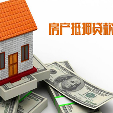 毛感乡贷款公司新渝启服怎么选择
